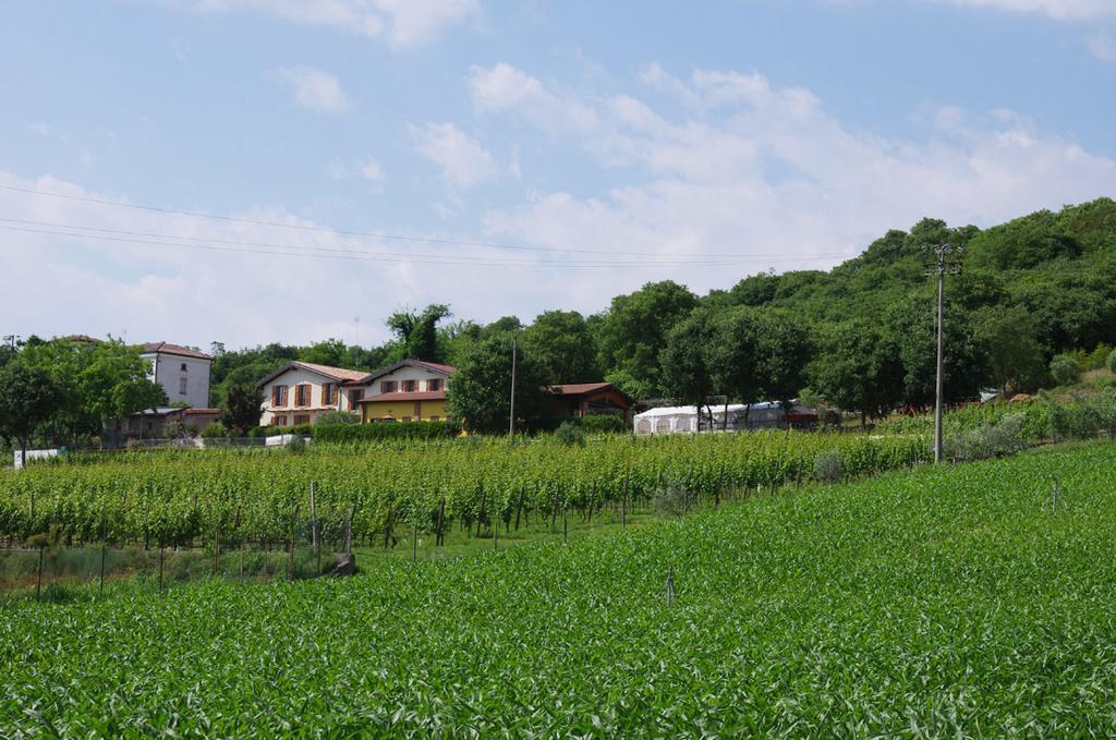 Agriturismo Casa Villi Solferino Exterior photo